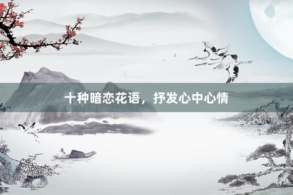 十种暗恋花语，抒发心中心情