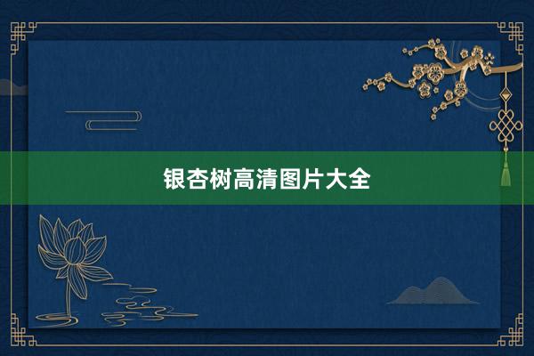 银杏树高清图片大全