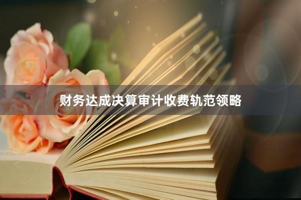 财务达成决算审计收费轨范领略